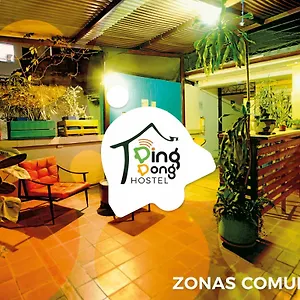 ding-dong-hostel.cali-hotels.com/